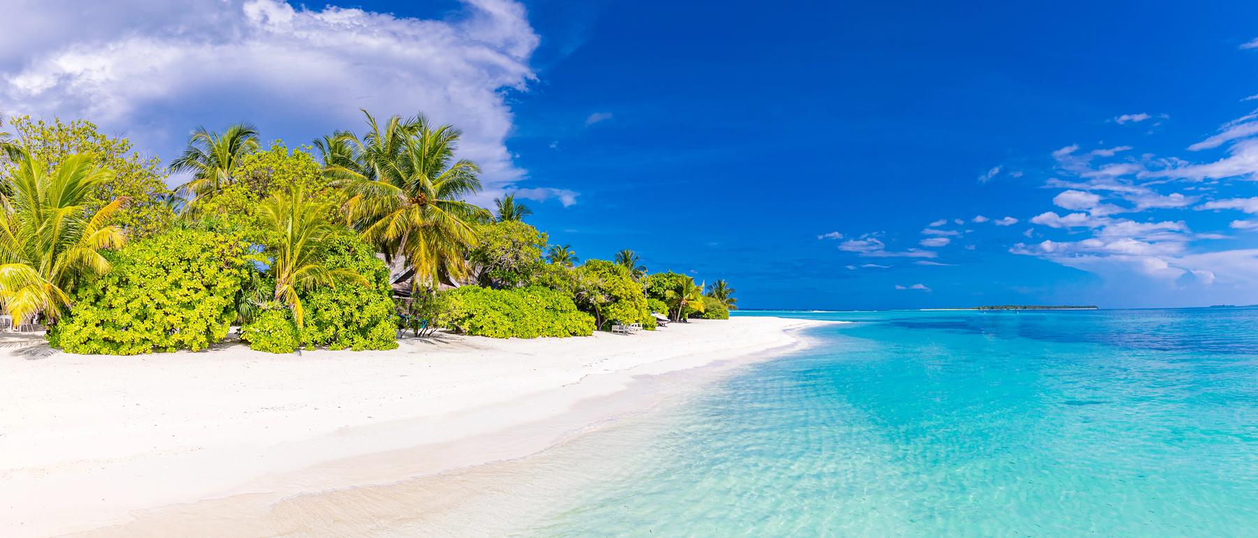 A long white beach curving past palms into turquoise water