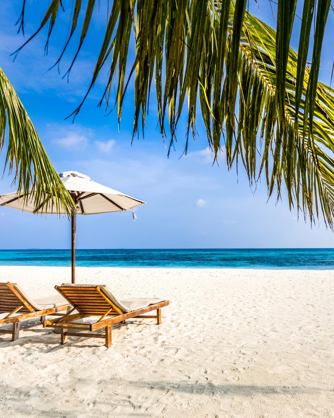 Two wooden loungers and a white umbrella on an empty beach, framed by palm fronds
