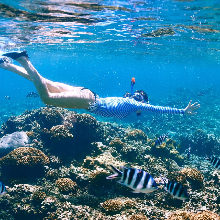 A snorkeler gliding over a reef with striped fish